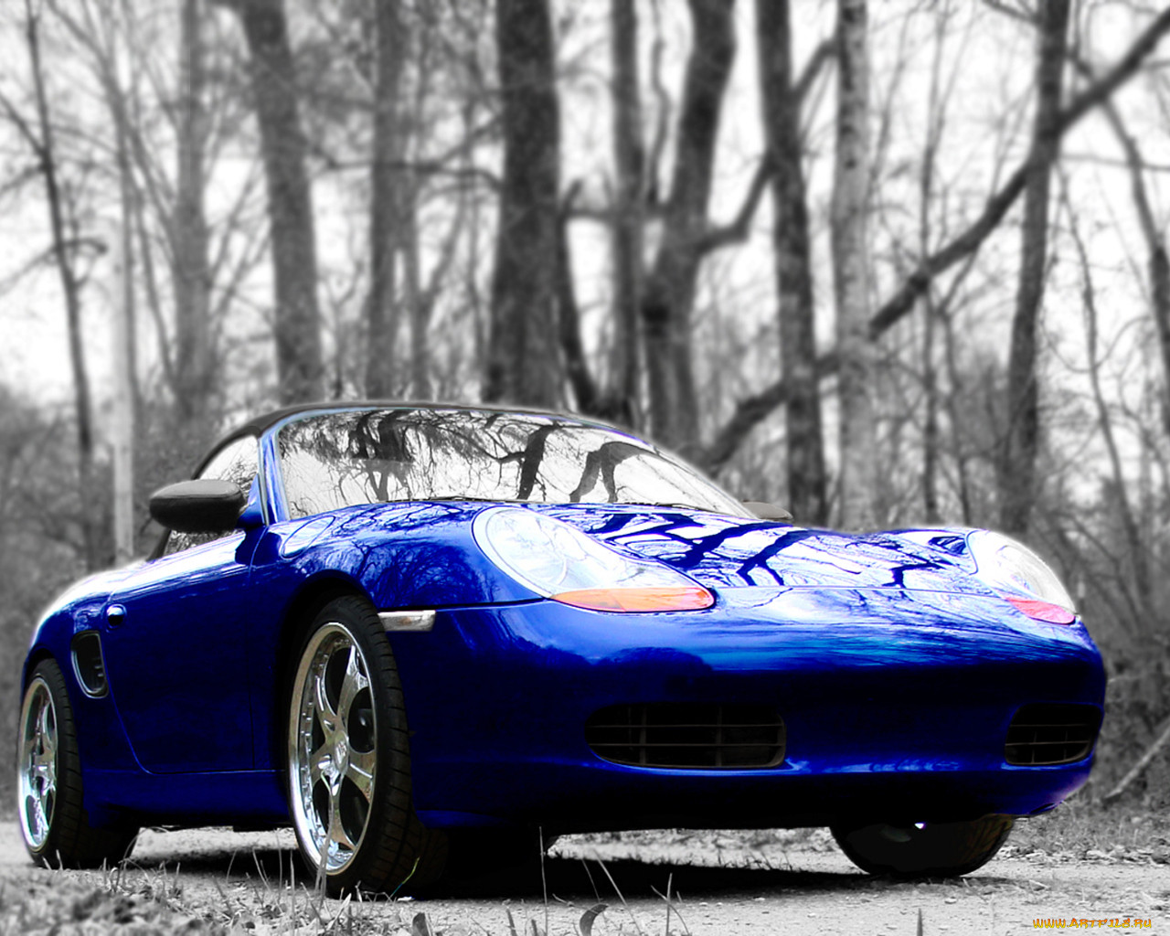 , porsche